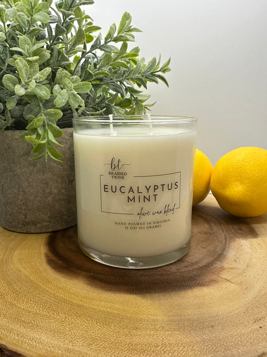 Eucalyptus Mint 9oz Candle