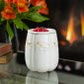 White Pumpkin Warmer