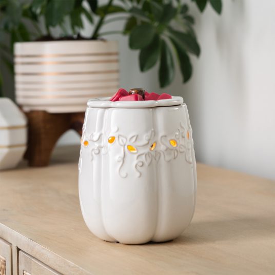 White Pumpkin Warmer